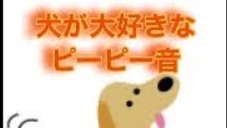 犬が喜ぶ音になります。犬が大好きなピーピー音です。