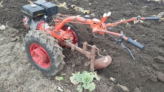 Motocultor Belarus MTZ 06 aratura de iarna in teren ud