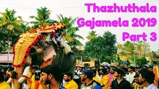 Best elephant show ever | Thazhuthala gajamela 2019 | Biggest elephants of Kerala India part 3