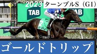 海外初戦ロマンチックウォリアーは連敗、メルボルンC覇者ゴールドトリップが制す【ターンブルS 2023】/ Gold Trip【TAB Turnbull Stakes 2023】