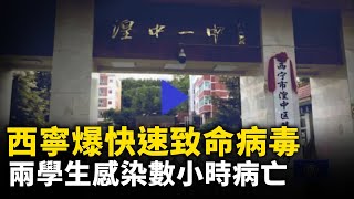 西寧爆快速致命病毒 ！湖南平江受災嚴重 公告接受社會捐贈 評論區炸鍋！網傳大陸某地一家金六福金店被搶 ！ #網絡視頻  | #大紀元新聞網