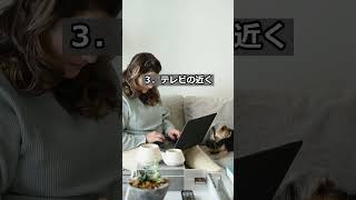 犬を寝かせてはいけない場所5選 #犬のいる生活 #犬