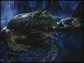 budweiser frogs commercial