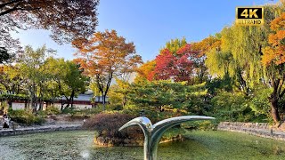 Autumn Stroll Through Deoksugung Palace 🍁 | Seoul’s Hidden Gem in Fall Foliage