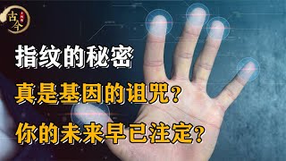 人类指纹斗和簸箕有何秘密？真是基因的诅咒？难道未来早已注定？