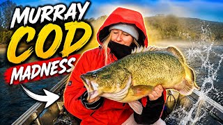 Murray Cod Madness | Spinwright Spinnerbait Smackdown