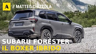 Subaru Forester (2025) | The adventurer is back: it's HYBRID and goes everywhere...