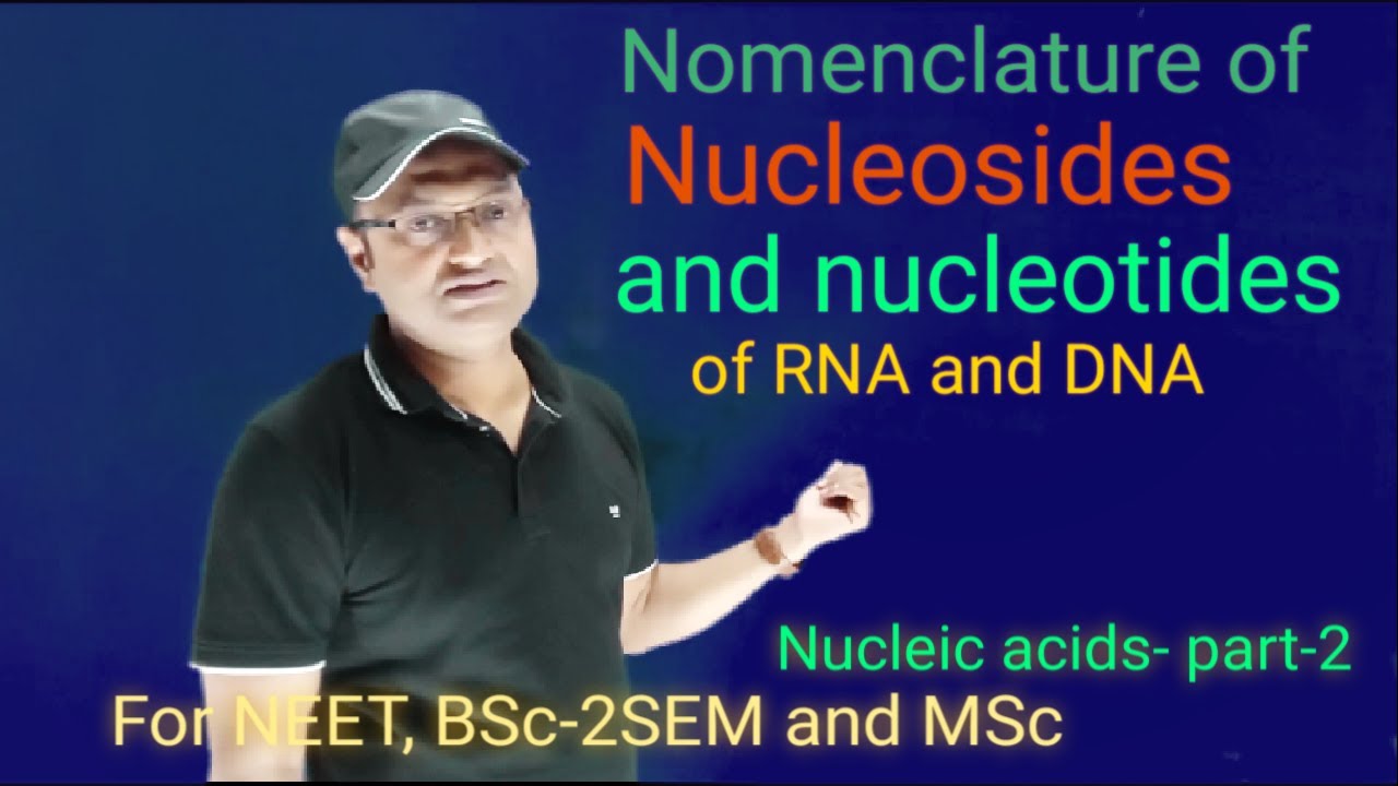 Nomenclature Of Nucleosides And Nucleotides Of RNA And DNA - YouTube