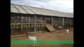 BROILER GOAT SHED ,INDIA