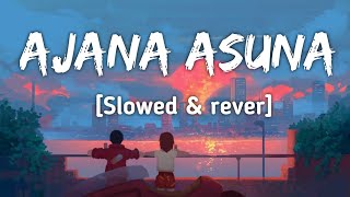 Ajana Asuna [Slowed \u0026 reverb] Humane sagar \u0026 Aseema panda | Lofi Song | Ajana Asuna Odia Lofi song