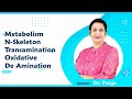 Metabolism, N-Skeleton, Transamination, Oxidative & De Amination By Dr Pooja For MBBS 1st Proff