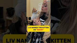 Liv Morgan Adopts a Saudi Kitten😍