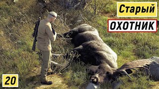 Way of the Hunter - СВОБОДНАЯ ОХОТА.  ОХОТА на ЛОСЕЙ.  СТАРЫЙ  ОПЫТНЫЙ  ОХОТНИК. АТАКА  МЕДВЕДЯ # 20