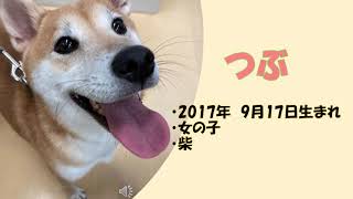 【WaN祭2021作品発表会】WaNファミリー紹介（動物飼育管理学科1年生）