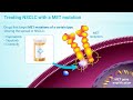 understanding nsclc treatments for less common mutations alk braf ros1 her2 met