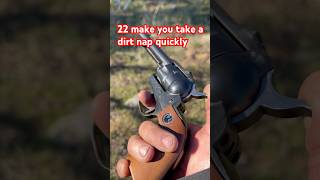 22lr revolvers are enough for self defense? Ruger Sturm pistol silah toplu tabanca atisi gewehr