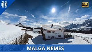 Anello Malga NEMES da Passo MONTE CROCE di Comelico,  [Dolomiti ep.1].