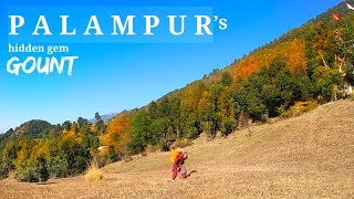 Himachal Village Life l Palampur l Gount l Hidden gem l hill top homestay