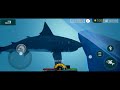 Feed And Grow Fish Android : Great White Shark