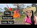 FAMÍLIA VEIO NÓS AJUDAR/ COMEÇAMOS A PLANEAR A CASINHA DE TAIPA/ A LIMPEZA NA ROÇA CONTINUA 🌵🌵