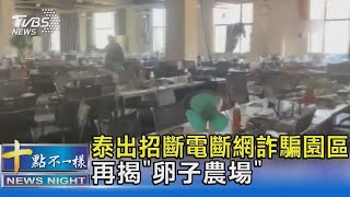 泰出招斷電斷網詐騙園區 再揭「卵子農場」｜十點不一樣20250206 @TVBSNEWS02