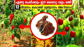 10രൂപക്ക് താഴെ ചെലവ് വരുന്ന ഈ വളം ഉപയോഗിച്ചാൽ ഏതു പൂക്കാത്ത ചെടികളും പൂക്കുകയും കായ്ക്കുകയും ചെയ്യും