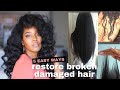 5 Easy Ways To Restore Damaged Hair | Natural Hair | Melissa Denise