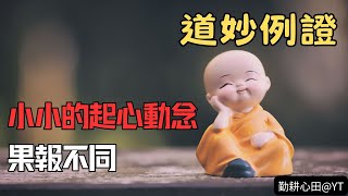 小小的起心動念 果報不同