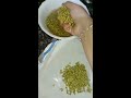 pasi payaru mulai kattuvathu eppadi how to make sprouts at home