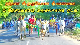 1 புதூர் நடுமாடு 11.06.2023