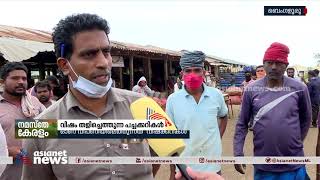 അതിർത്തികടന്നെത്തുന്നത് വിഷക്കനികളോ? Pesticides in vegetable production