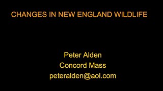 Changes in New England Wildlife. By Peter J Alden.