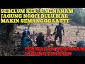 Persiapan Menanam Jagung Di Kebun