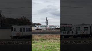 愛知環状鉄道。瀬戸信用金庫ラッピング電車。