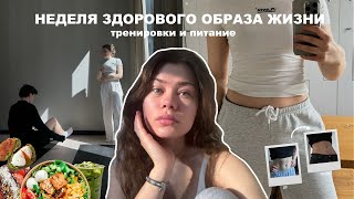 неделя ПП | мои тренировки и питание