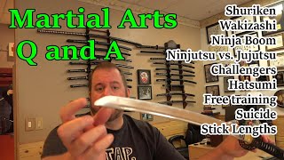Questions Answered - Wakizashi, Shuriken, Movies, Training, Life, Samurai, Dojos, Martial Arts