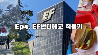 Ep4. EF 샌디에고 적응기//EF 샌디에고/인앤아웃/ 프로즌 요거트/ 본파이어/ party/ 미국 어학연수