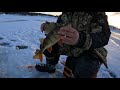 ВОДЫ ПО КОЛЕНО / РЫБАЛКА В ФЕВРАЛЕ НА ЖЕРЛИЦЫ / ice fishing