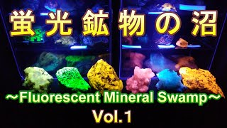 蛍光鉱物の沼 ～Fluorescent Minerals～ Vol.1【ミネラルマルシェ編】