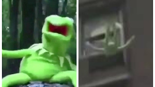 KERMIT THE FROG FREEZING AND FALLING OFF THE ROOF (LIVE)