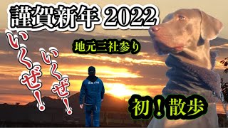 【謹賀新年2022】地元三社参りとワイマラナー犬カムイの初散歩