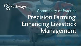 Precision Farming: Enhancing Livestock Management - Webinar | PATHWAYS