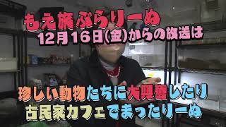 もえ旅ぶらりーぬ（2022年12月16日～31日放送）