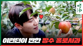 추석 선물 고민 중이라면 아삭달달한 장수 홍로사과🍎 어때요? 이런던이 보증합니다! l 장수 유일농원