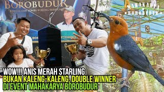 Perawatan Sederhana, Anis Merah Ini Bisa Double Winner! Rahasianya Terungkap Bersama Prio Excellent