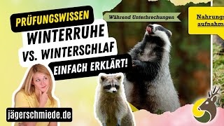 Was ist der Unterschied zwischen Winterruhe und Winterschlaf? Wissen für die Jagdausbildung!