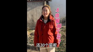 带山东女婿回娘家，女婿竟挑战四个小时做30个菜，看他能成功吗？#乡村大锅煮出人间美味 #新农人计划2025  #村里的新年