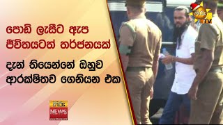 පොඩි ලැසීට ඇප... ජීවිතයටත් තර්ජනයක්   - Hiru News