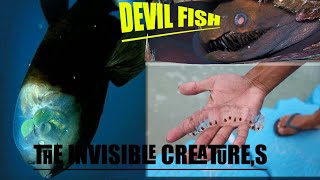 Top 10 Invisible creatures in the world | Most Demiguise Characteristics Animals | FactNexus!