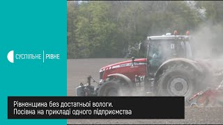 Рівненщина без достатньої вологи. Посівна на прикладі одного підприємства